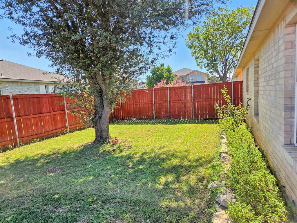 1330 White Tail Ridge Cedar Hill, TX 75104 - Photo 14 of 17 a view of backyard with large tree and wooden fence