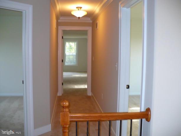 1453 Campus Road Elizabethtown, PA 17022 - Photo 17 of 21 Gallery Image 17