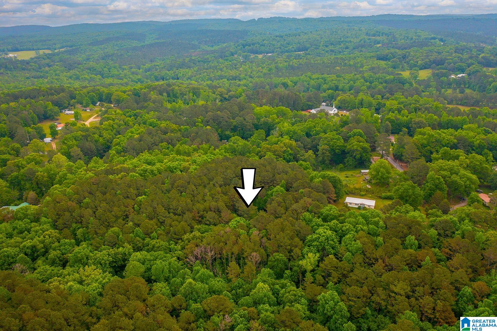 0 Spunky Hollow Road, Unit 1 Trafford, AL 35172 - Photo 8 of 18