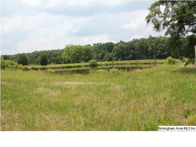 1525 Oakley Station Road Randolph, AL 36792 - Photo 7 of 20