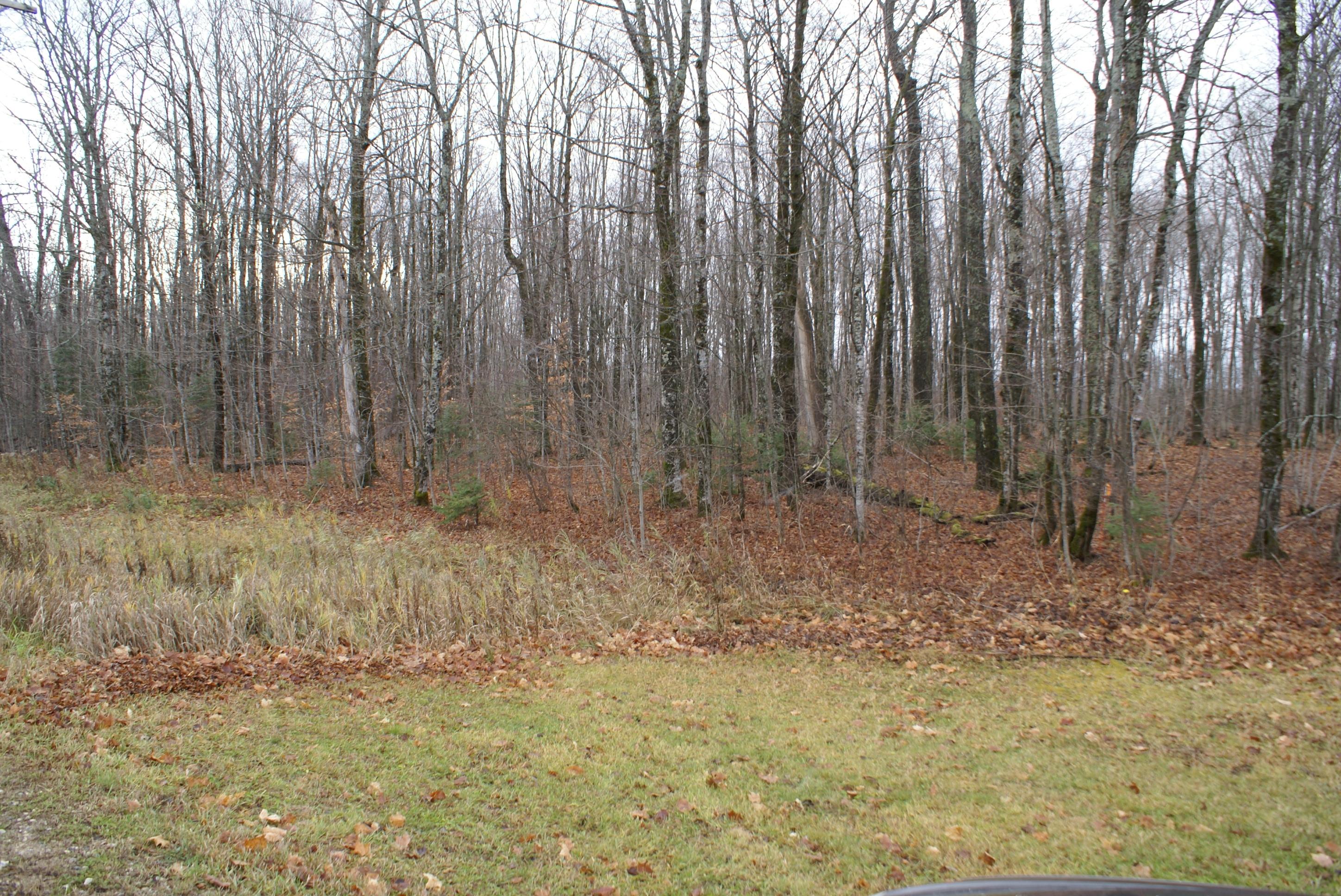 100-ac Saint Ignace Road Hessel, MI 49745 - Photo 3 of 8 Gallery Image 3