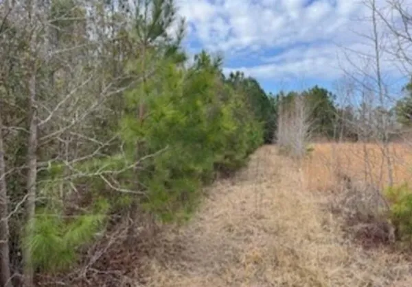 $60,000 | 791 Moulds Road, Lake City, SC 29560