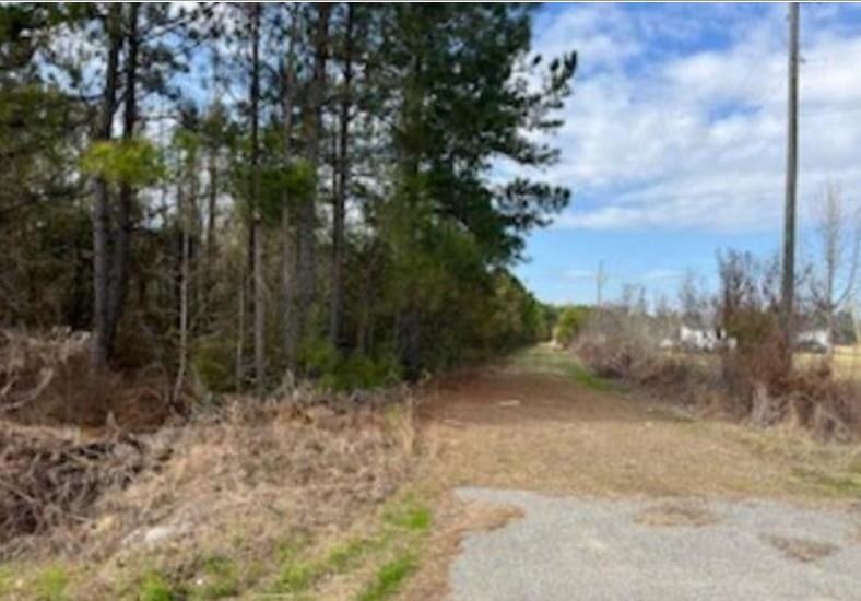 791 Moulds Road Lake City, SC 29560 - Photo 2 of 5