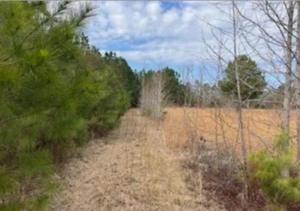 $60,000 | 791 Moulds Road, Lake City, SC 29560