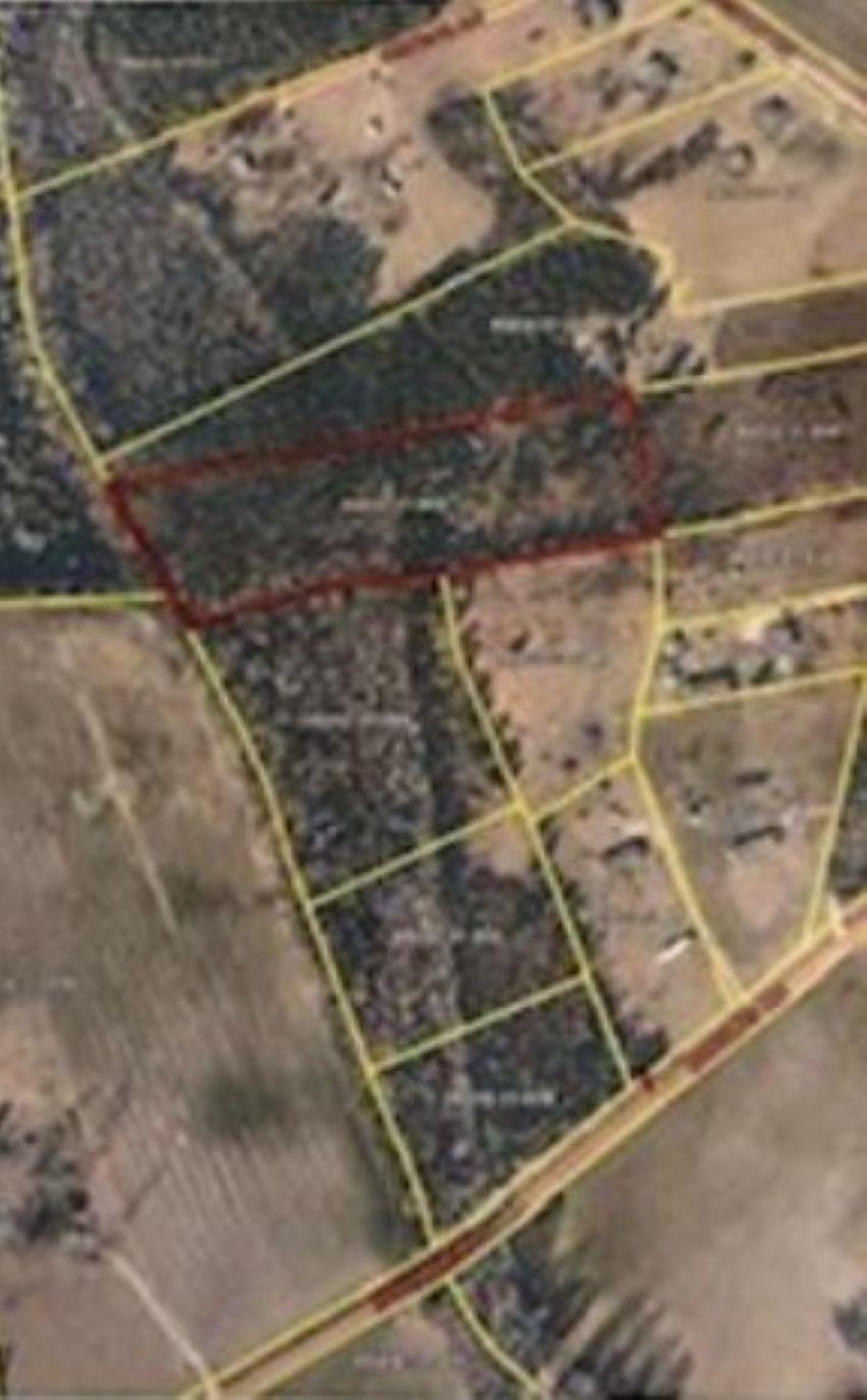 791 Moulds Road Lake City, SC 29560 - Photo 4 of 5