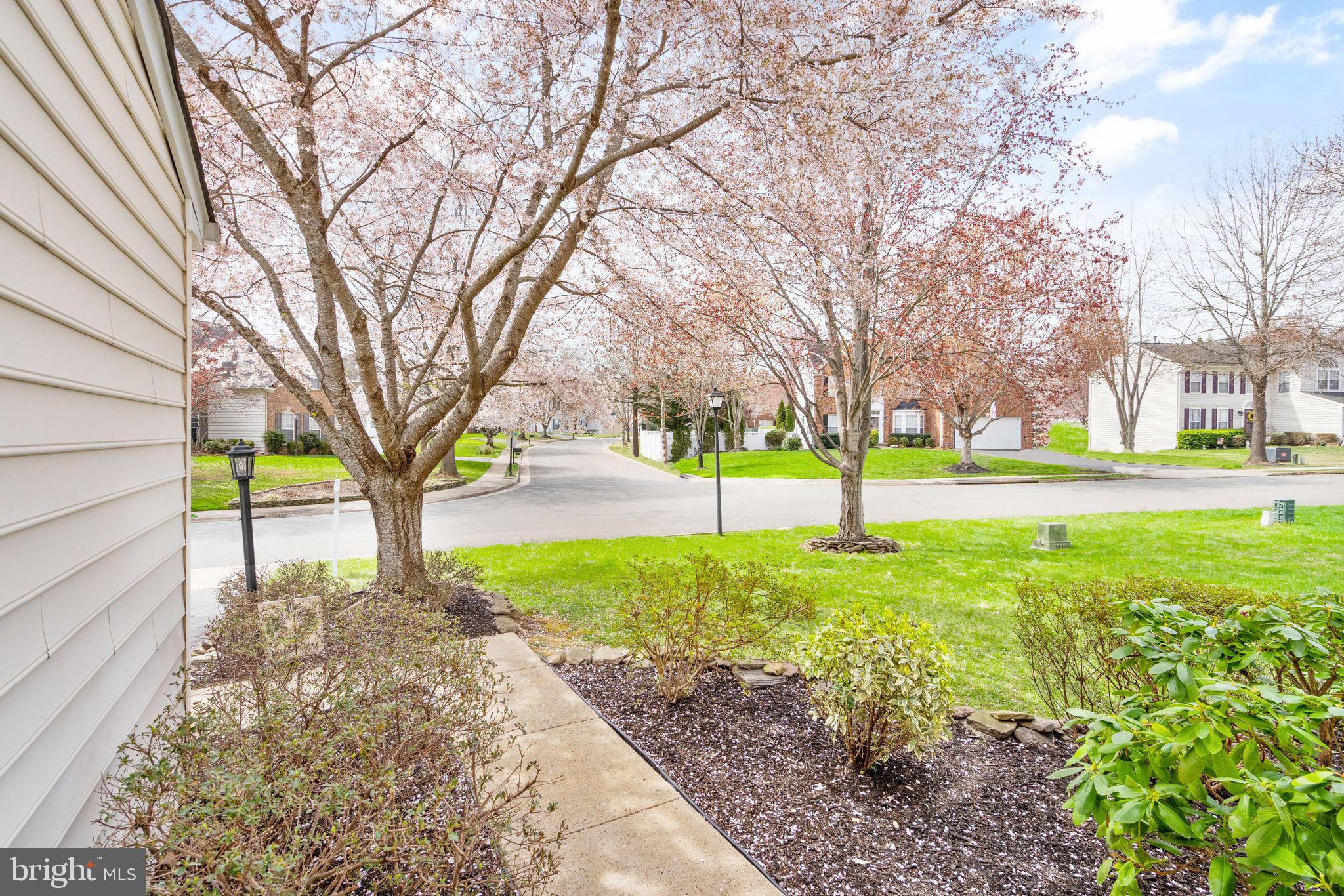 325 Singleton Circle Warrenton, VA 20186 - Photo 11 of 91