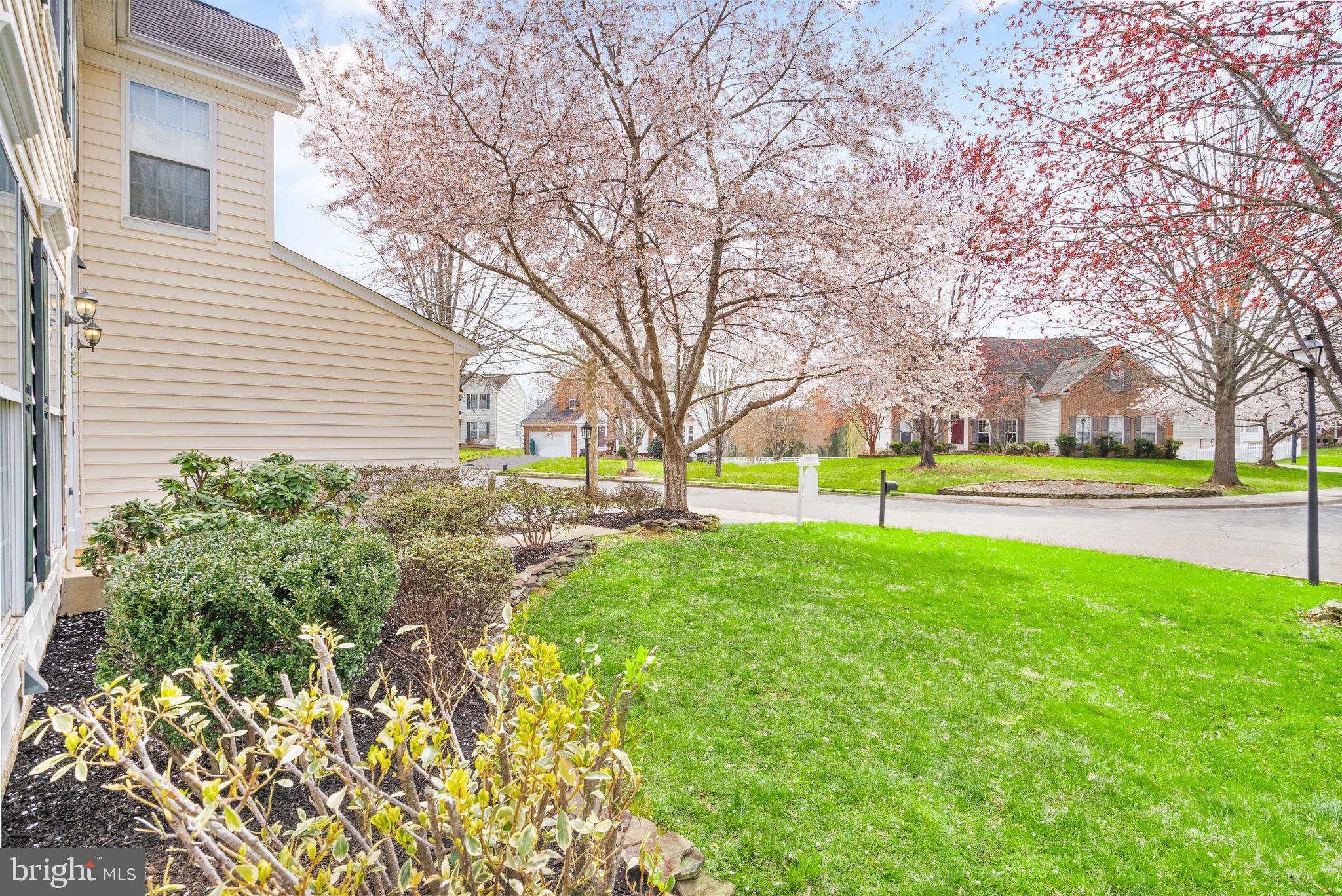 325 Singleton Circle Warrenton, VA 20186 - Photo 10 of 91