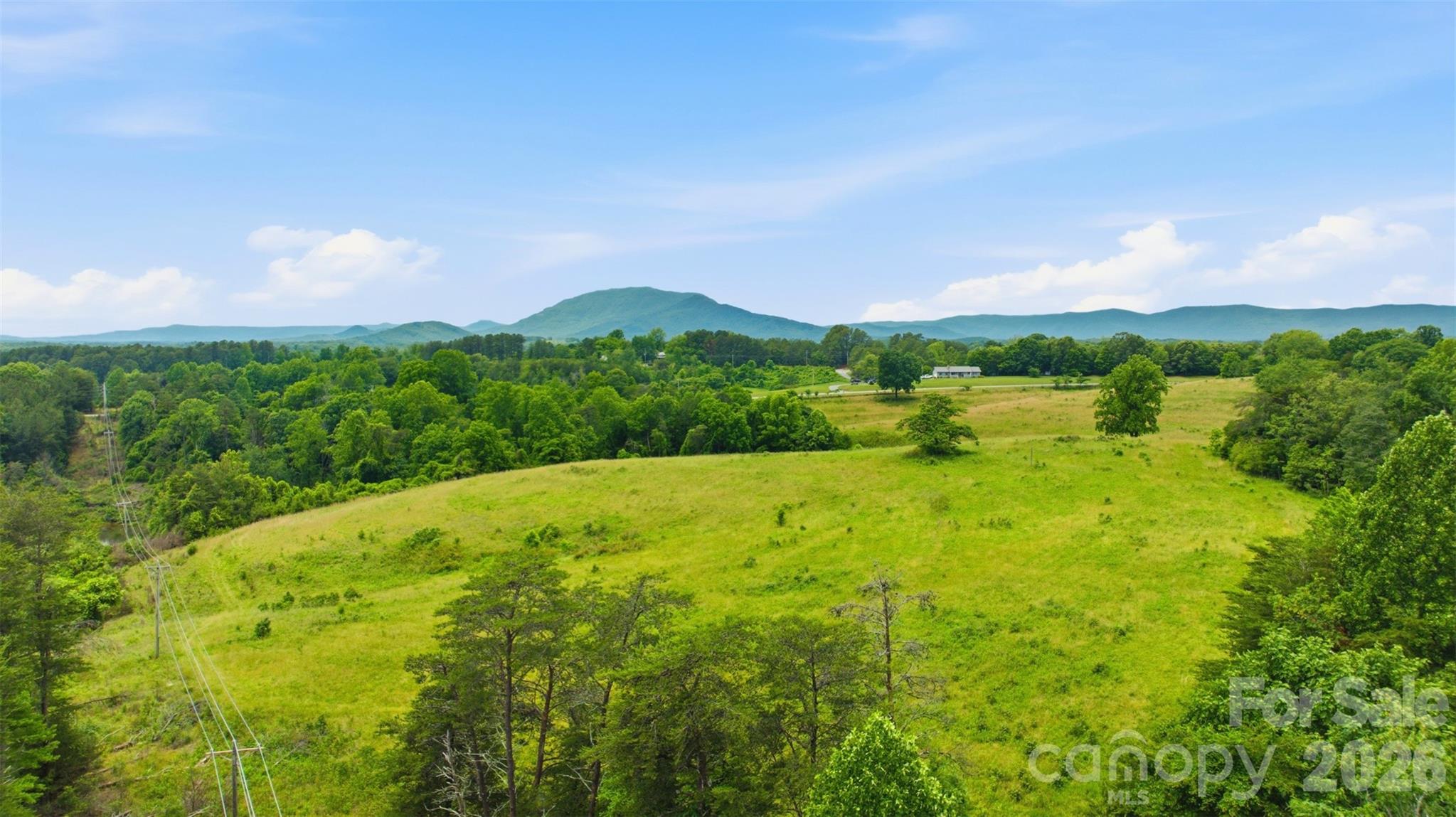 536 Pea Ridge Road Mill Spring, NC 28756 - Photo 6 of 9