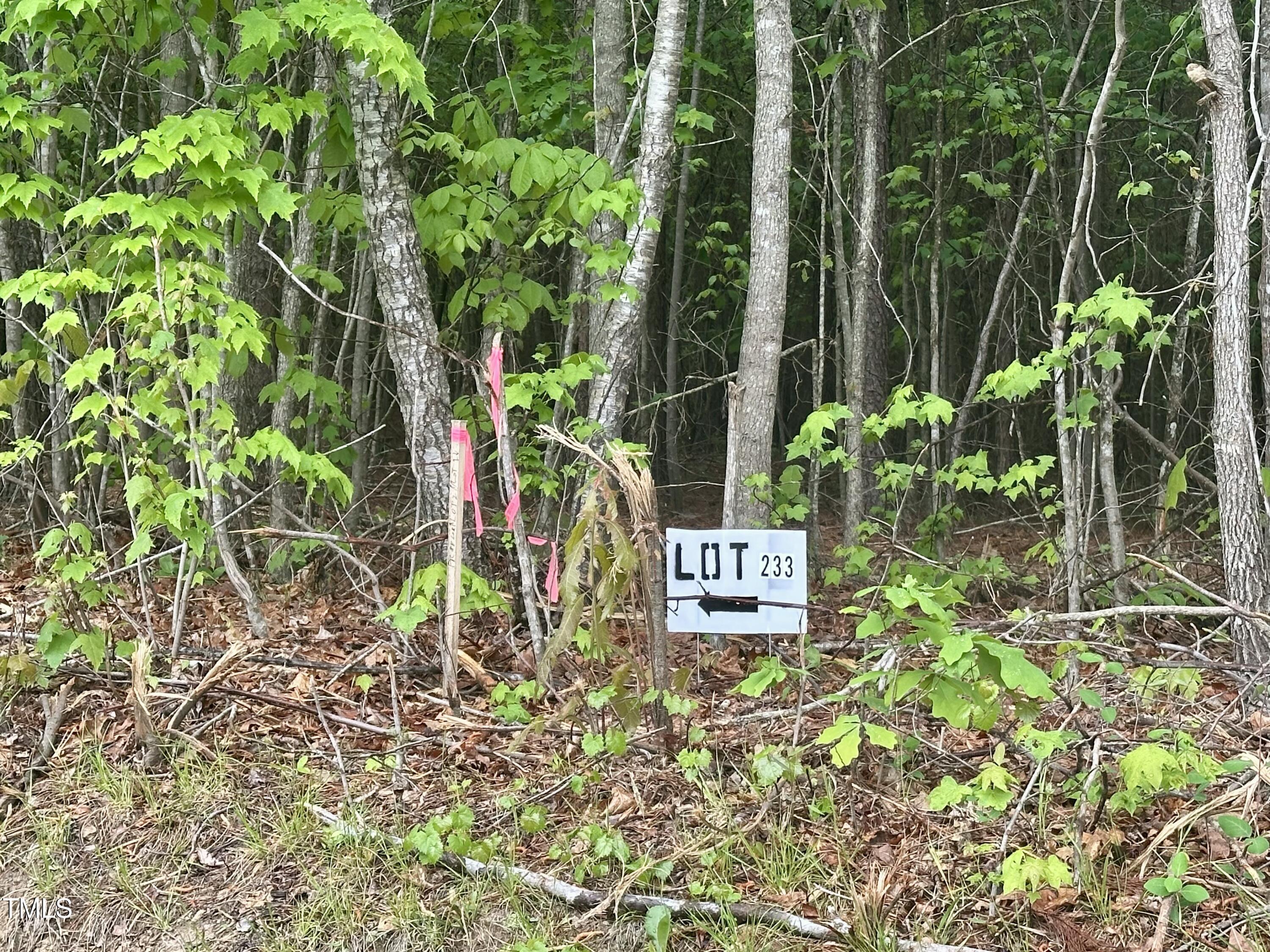 Lot 2 Range Road Rougemont, NC 27572 - Photo 4 of 7 IMG_9518