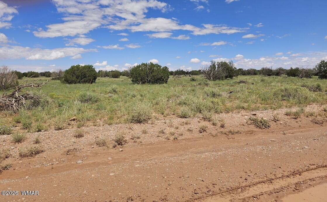 1924 Hutch Road Heber, AZ 85928 - Photo 6 of 17 Gallery Image 6