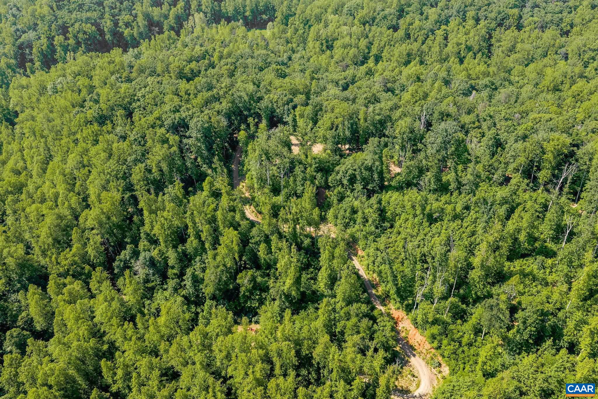 Tbd Poorhouse Road Charlottesville, VA 22903 - Photo 13 of 28 a view of a lush green forest