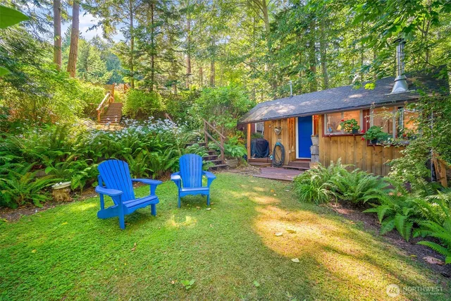 a view of a backyard with potted plants and large tree