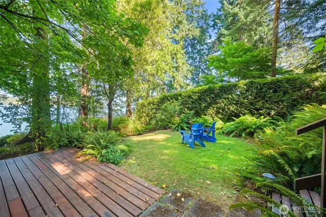 a view of a house with a backyard and a tree