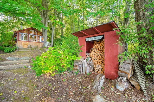 a view of a yard with plants and large trees