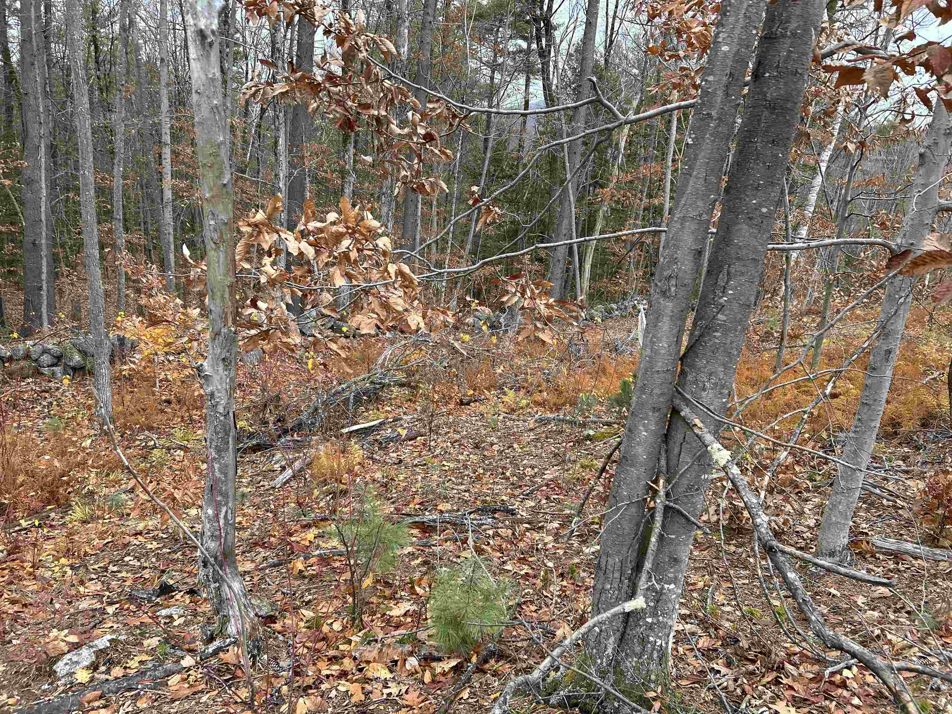 0 Pound Road North North Sutton, NH 03260 - Photo 37 of 51