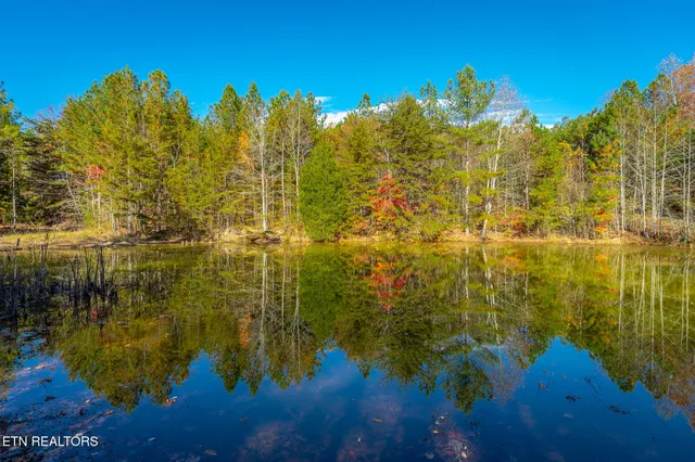 $349,999 | 450 Hickory Road, Spring City, TN 37381