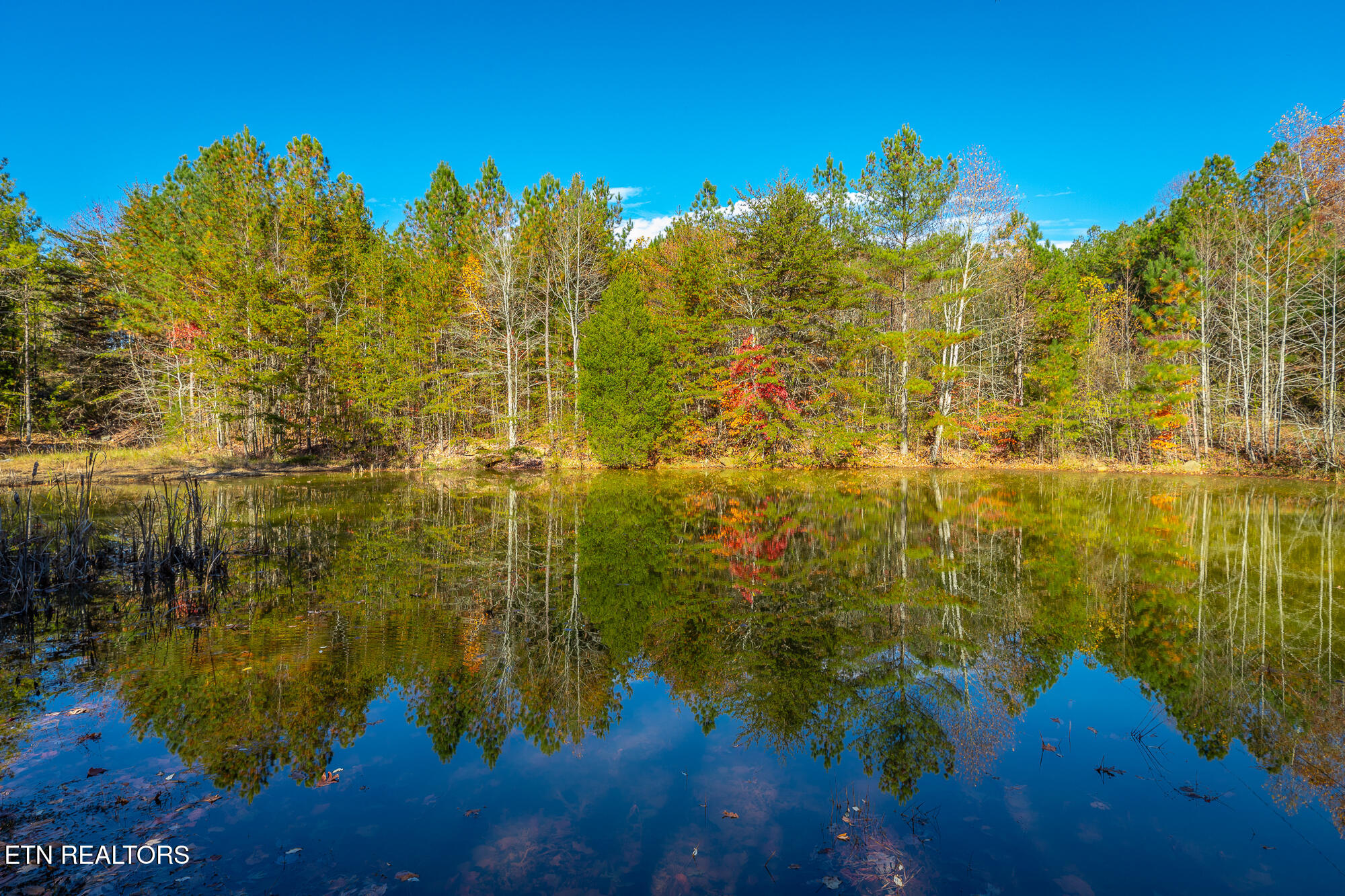 450 Hickory Road Spring City, TN 37381 - Photo 4 of 7 450 Hickory Rd. HD-28