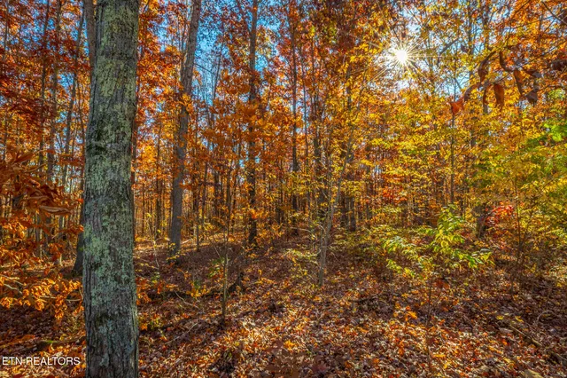 $349,999 | 450 Hickory Road, Spring City, TN 37381