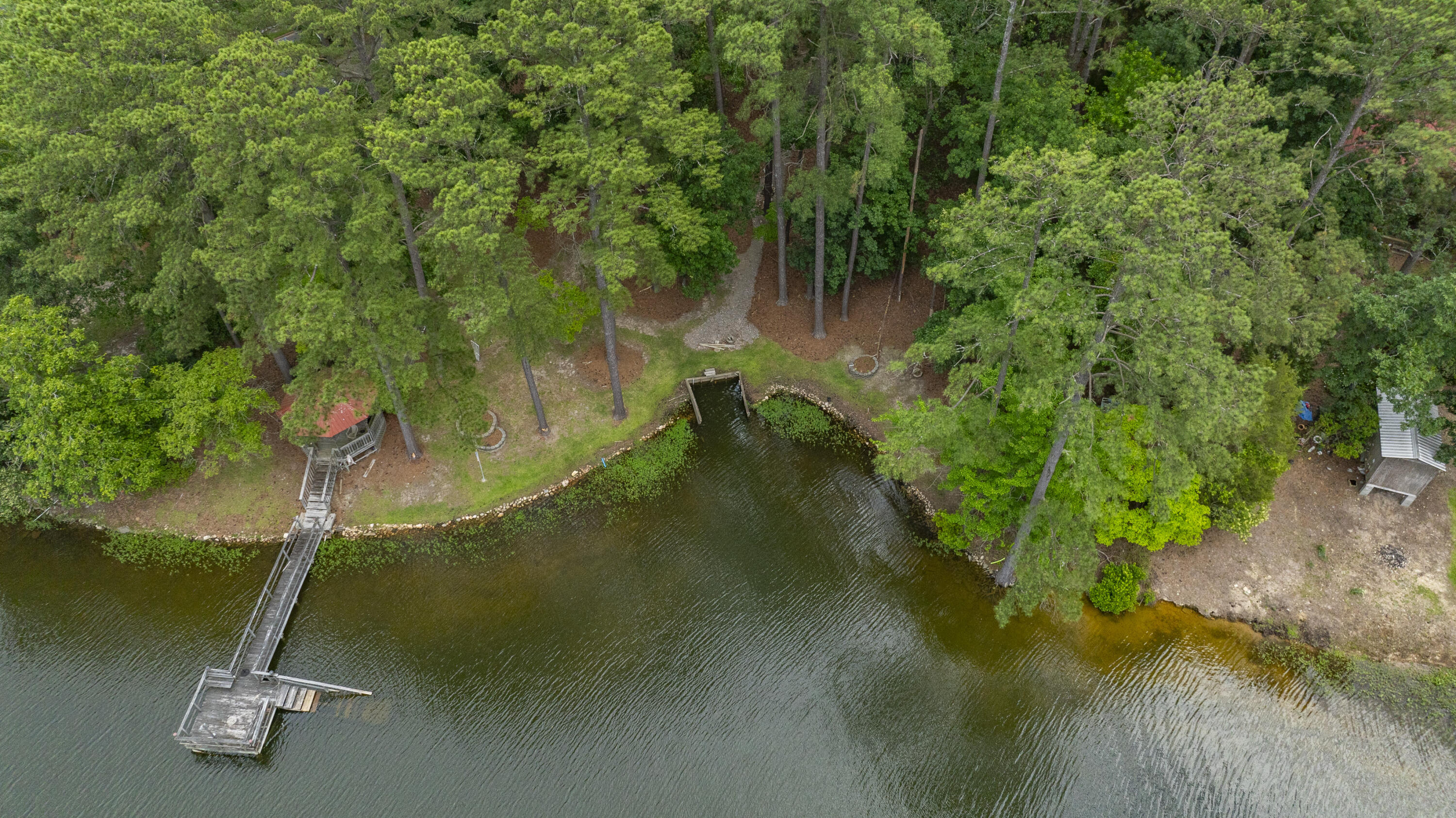 1239 Shull Island Road Gilbert, SC 29054 - Photo 38 of 52