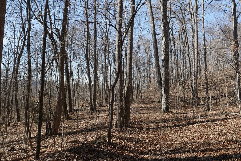 Tbd Tbd Dean Road Rose Hill, VA 24281 - Photo 40 of 97 Gallery Image 40