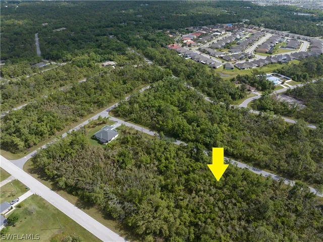 a view of a back yard