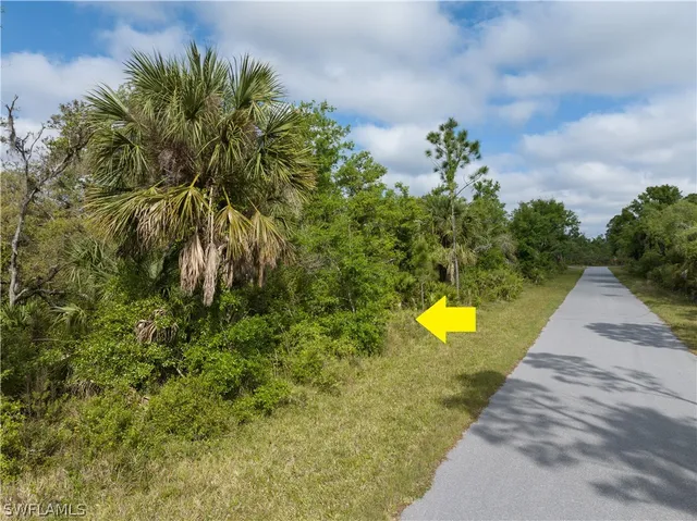 a view of a yard with plants