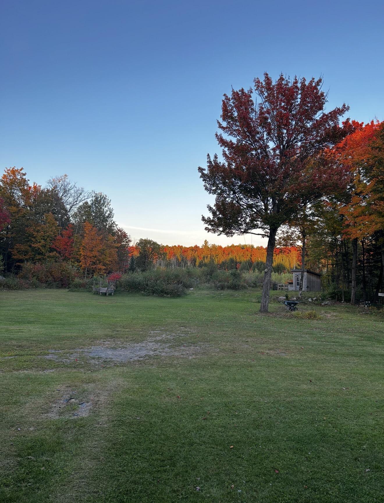 1560 Rand Hill Road Altona, NY 12910 - Photo 30 of 30 IMG_2008