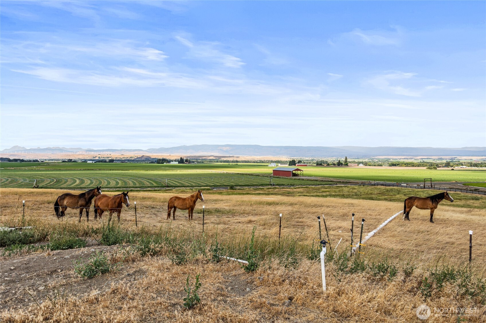 2160 Cove Road Ellensburg, WA 98926 - Photo 39 of 40 Gallery Image 39