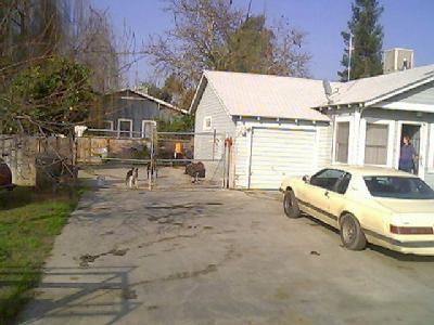 26422 Harrison Road Visalia, CA 93277 - Photo 2 of 2 Additional Photo