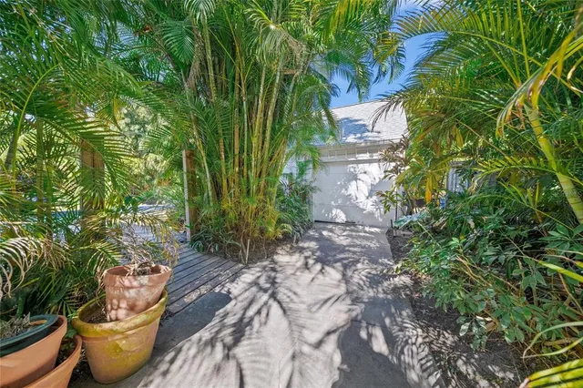 a view of a backyard with plants and plants