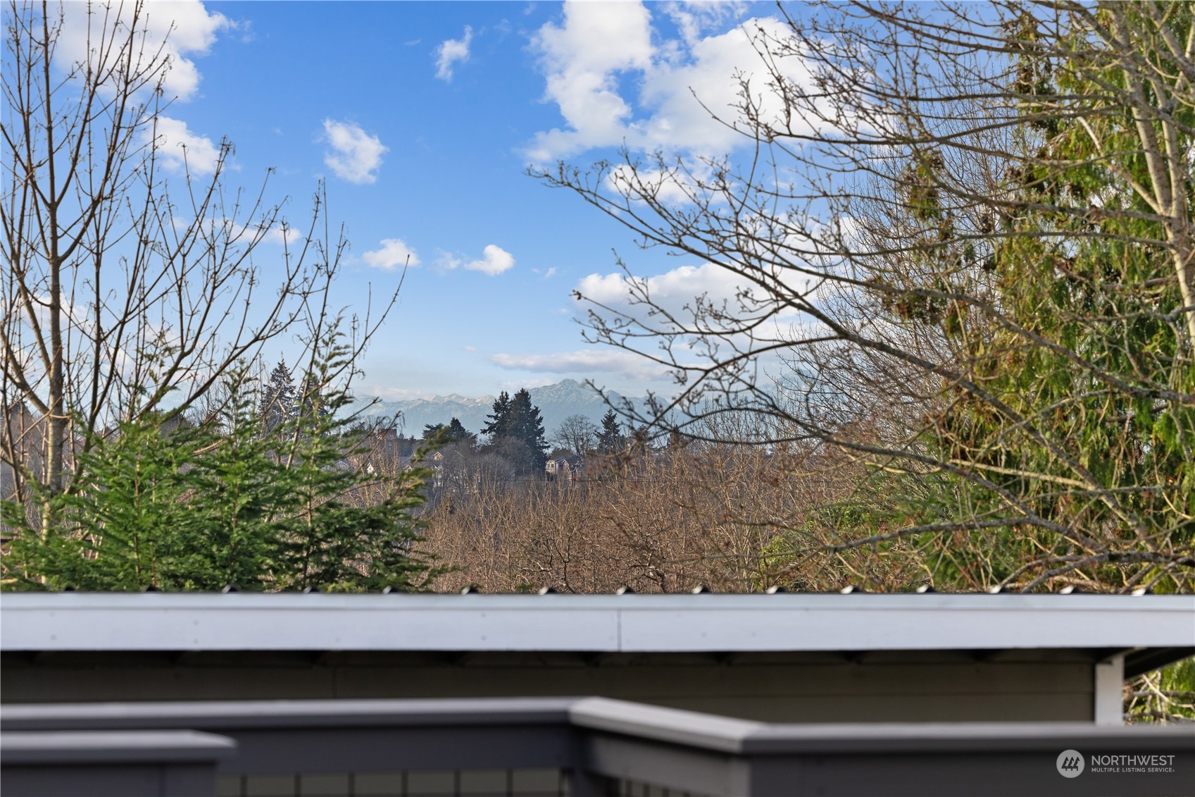 7025 13th Avenue Southwest Seattle, WA 98106 - Photo 32 of 39