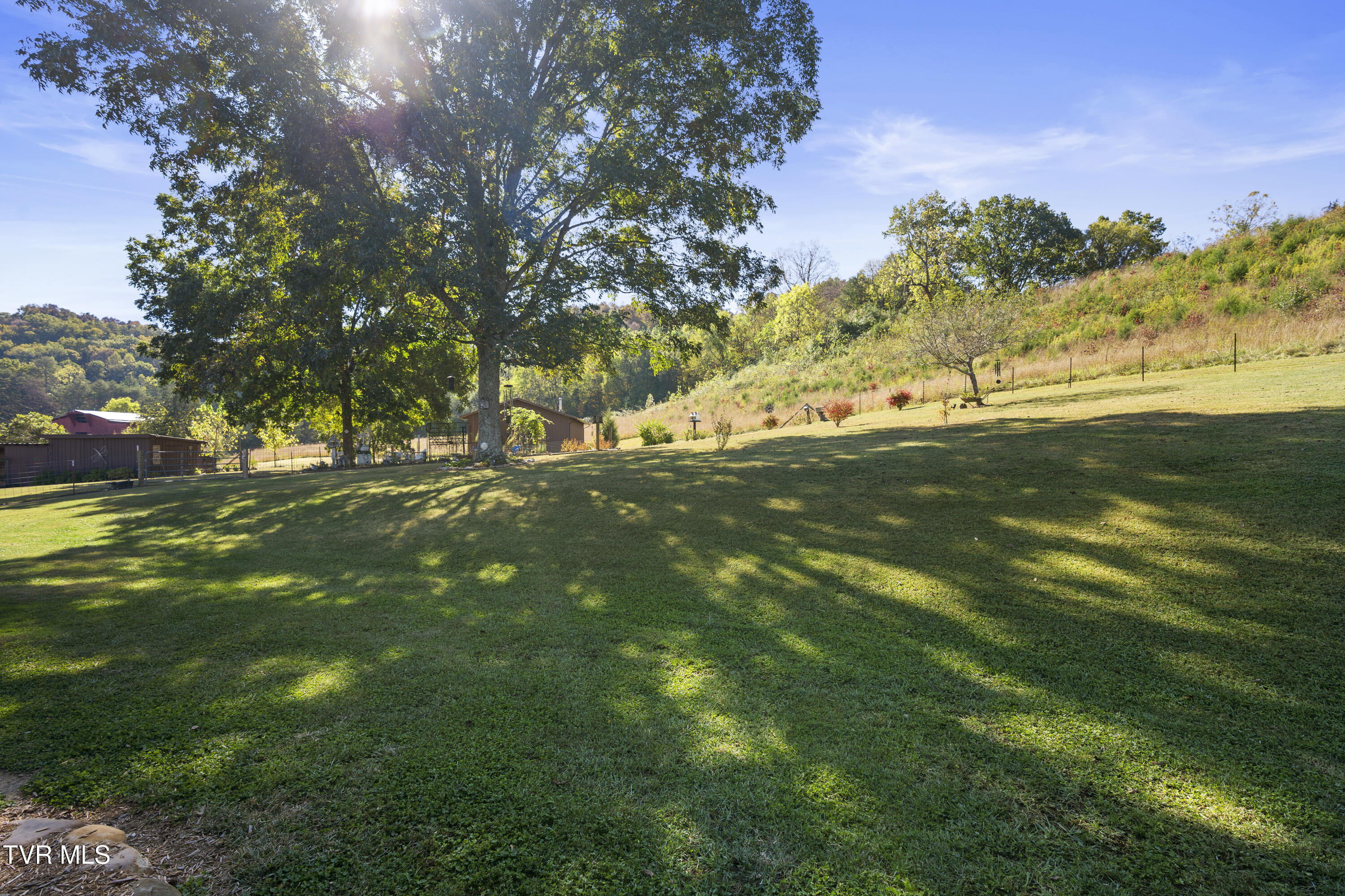 9915 Warrensburg Road Mosheim, TN 37818 - Photo 45 of 61 DSC09532