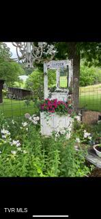9915 Warrensburg Road Mosheim, TN 37818 - Photo 59 of 61 IMG_4849_1760737077268