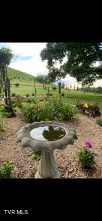 9915 Warrensburg Road Mosheim, TN 37818 - Photo 61 of 61 IMG_4851_1760737077285