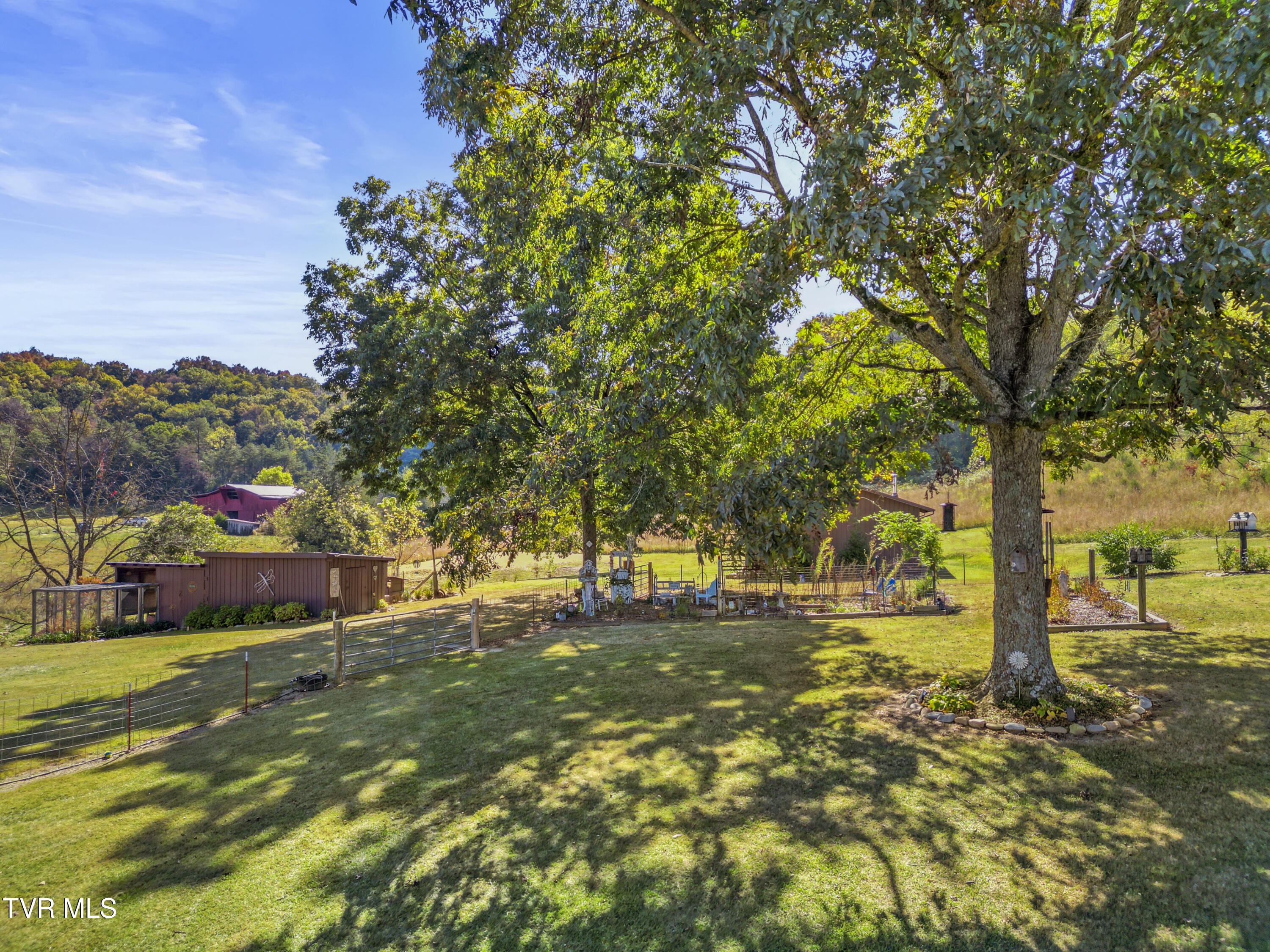 9915 Warrensburg Road Mosheim, TN 37818 - Photo 7 of 61 DJI_0475