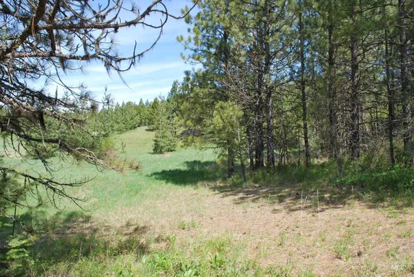 $1,950,000 | 4975 Middle Road, Ahsahka, ID 83520