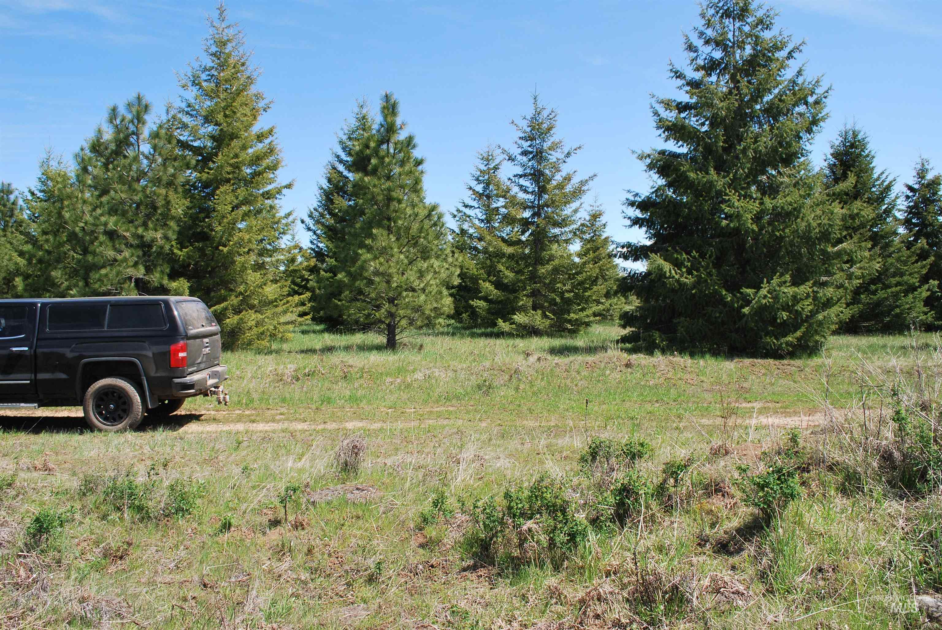 4975 Middle Road Ahsahka, ID 83520 - Photo 32 of 50