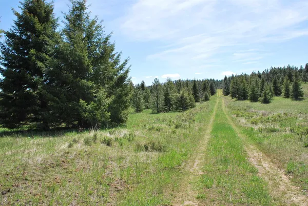 $1,950,000 | 4975 Middle Road, Ahsahka, ID 83520