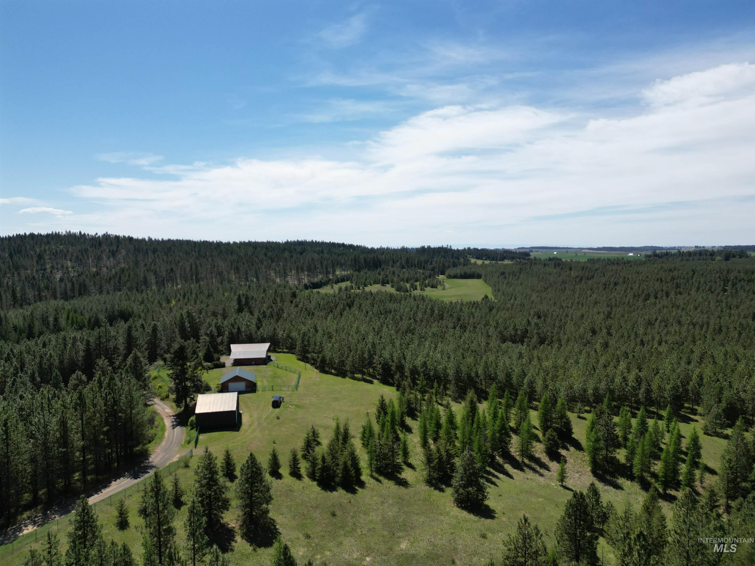 4975 Middle Road Ahsahka, ID 83520 - Photo 10 of 50