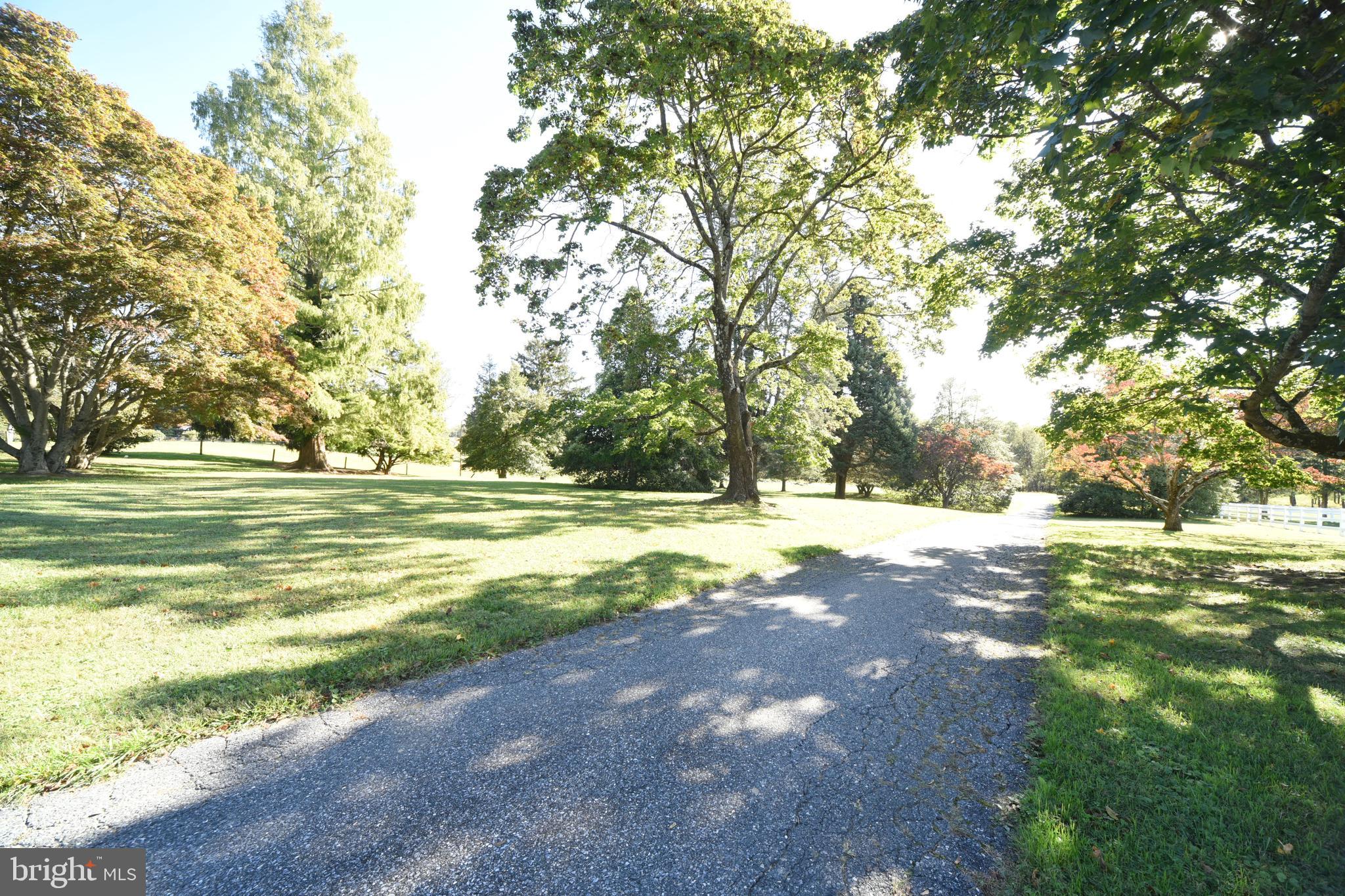 600 Rock Spg Church Road Forest Hill, MD 21050 - Photo 35 of 56 a view of outdoor space with trees all around