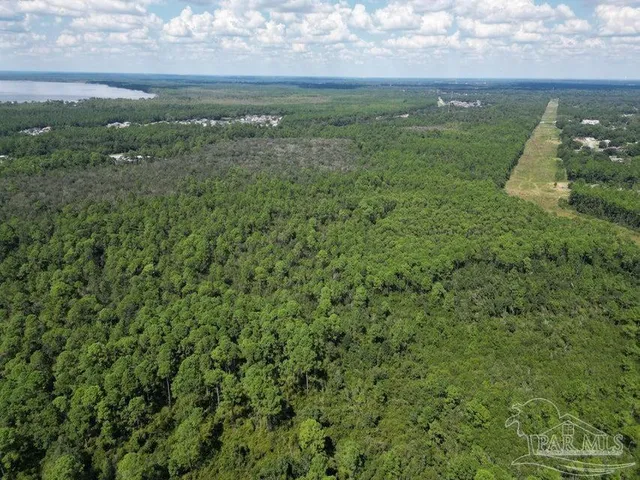 a view of a green field with lots of bushes