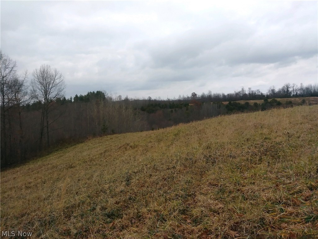 Middle Ridge Road Cutler, OH 45724 - Photo 4 of 9