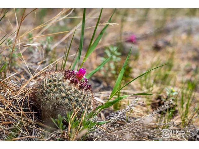 a view of a city with mountain