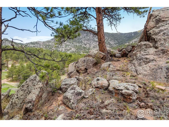 a view of outdoor space and tree