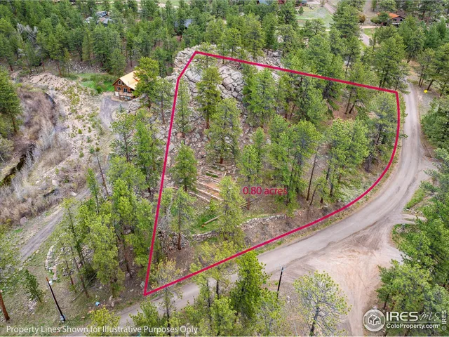 a couple of flower plants sitting in a garden