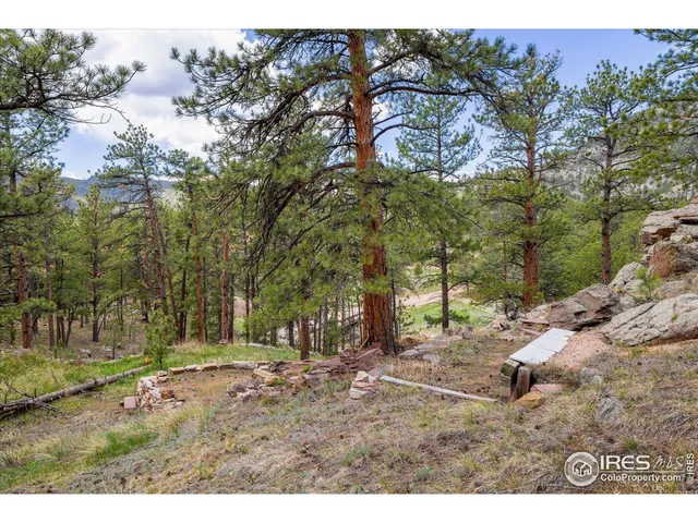 a view of a yard with large trees