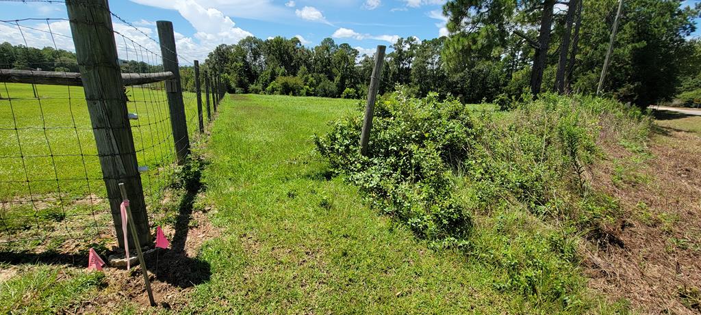 33 Rehobeth Al Dothan, AL 36303 - Photo 36 of 46
