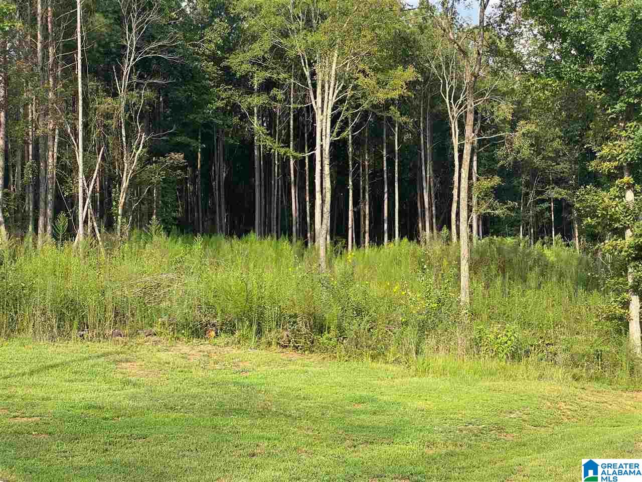1895 Brooks Lake Road Lincoln, AL 35096 - Photo 12 of 49