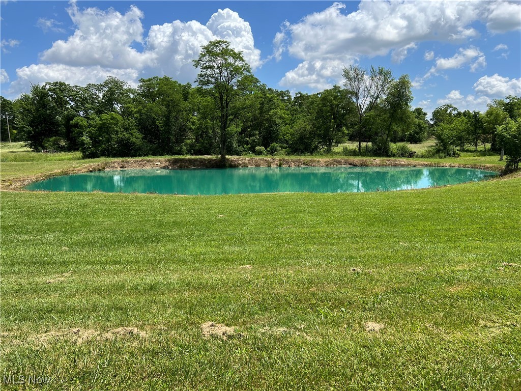 45499 Stewart Road Sullivan, OH 44880 - Photo 2 of 18 View of swimming pool featuring a lawn and a water view
