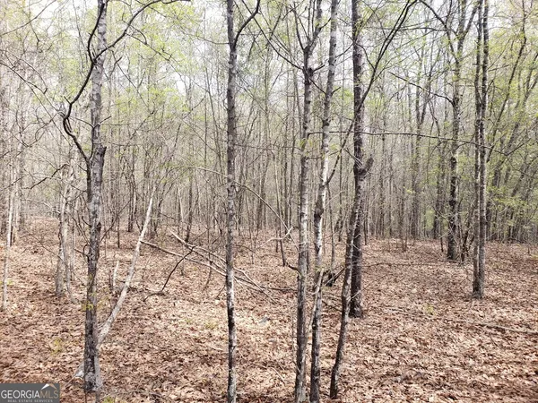 $184,299 | 2697 Irwinton Road, Milledgeville, GA 31061